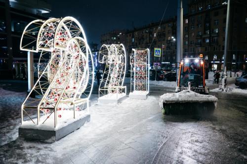 21.01.2021 Уборка снега 006