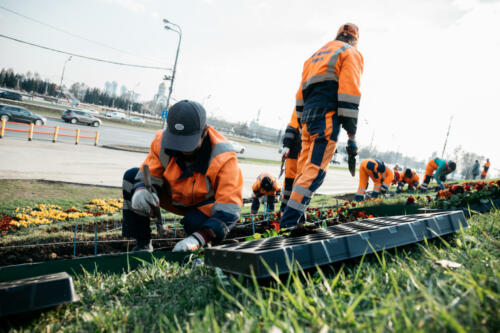 22.04.2019 Цветы Высадка на Кутузовском и  Рублевском 13